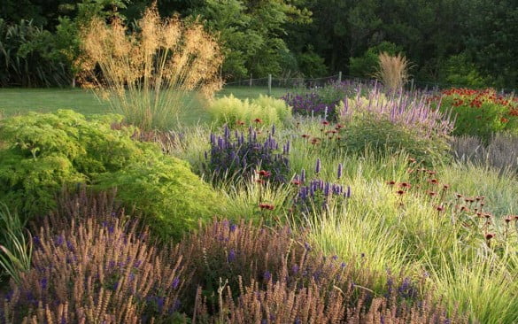 Trends In Landscape Designs In 2021