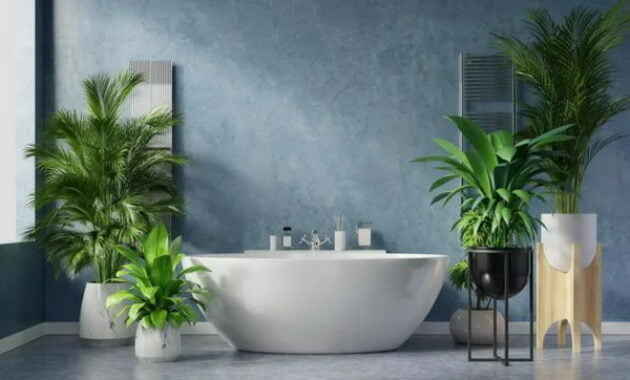 Bathroom Design 2024