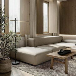 Sofa Trends 2024 TOP Colors And Styles 0 244x244 