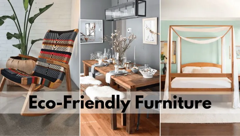 Affordable Eco-Friendly furniture designs