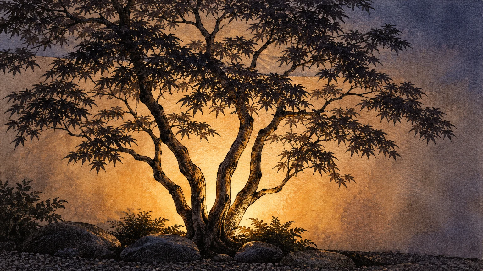 Illustration of a Japanese maple tree backlit with warm golden light against a textured wall and surrounding stones.