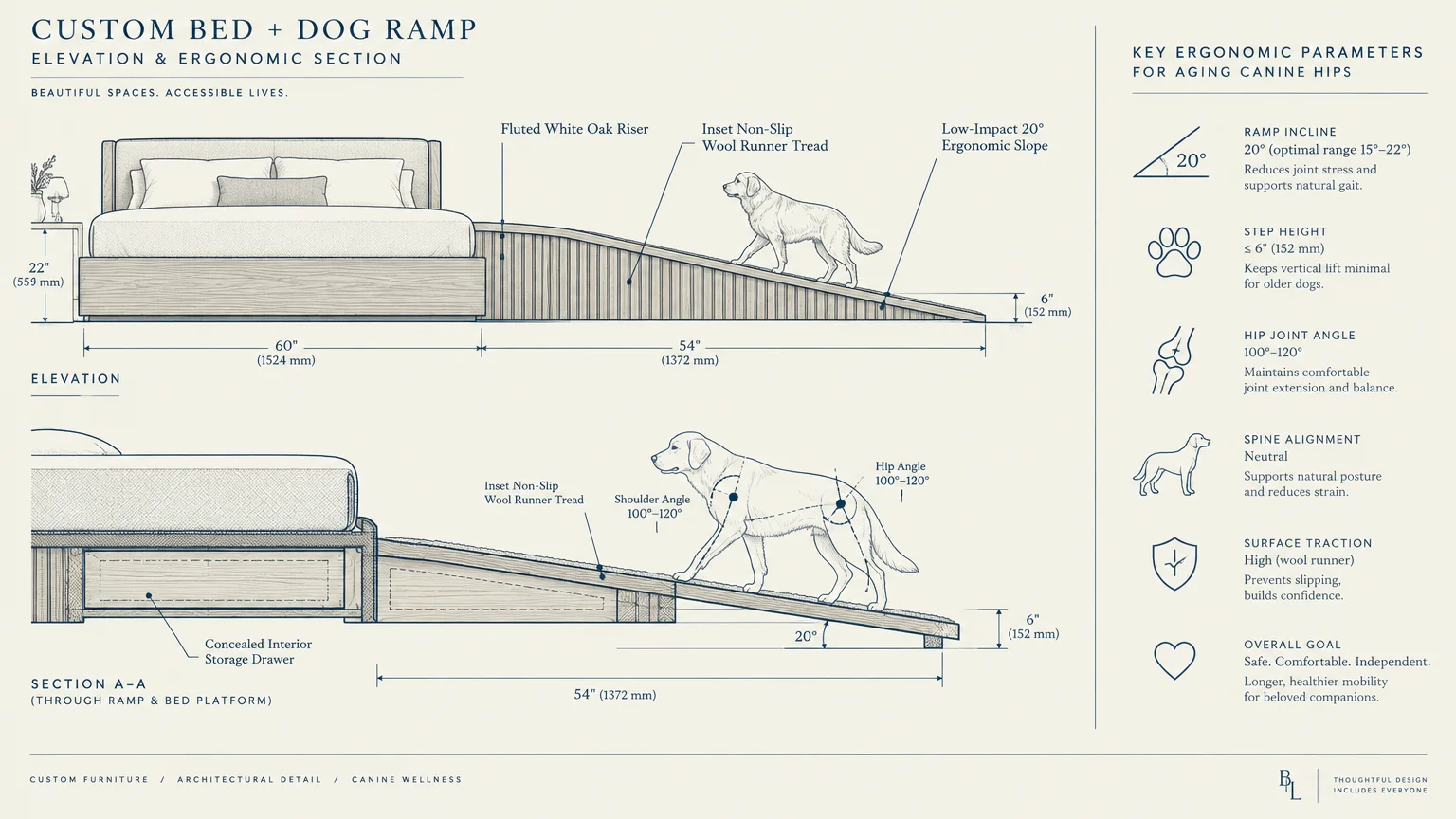 Architectural diagram showing elevation and cross section of a custom bed with a dog ramp and ergonomic metrics.